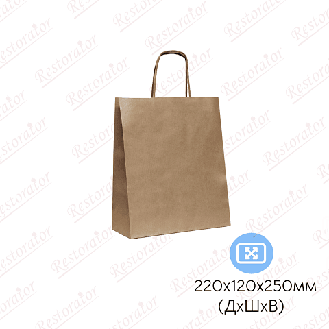 Пакет бумажный с кручеными ручками, 220*120*250мм
